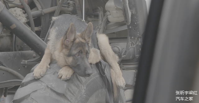 对于不能跟我一起，露露表示很惆怅